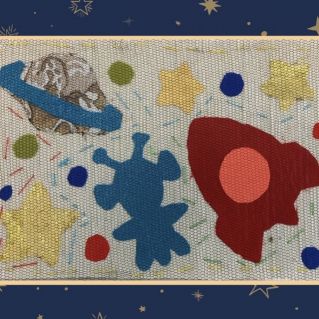 Аппликация из ткани «В поисках звёзды»