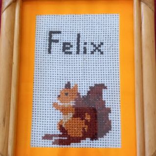 Вышивка " Белка"