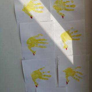 Вышли цыплята погулять