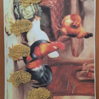 " Милые цыплята"