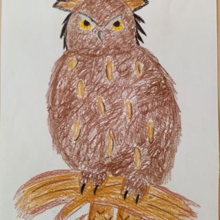 "Филин-пернатый хищник"