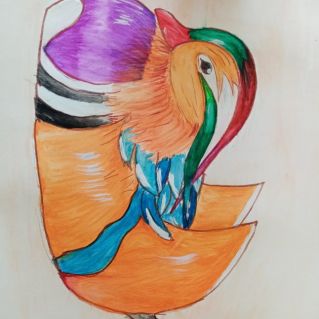 "Утка-мандаринка"