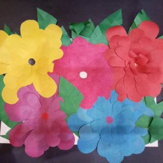 Красота вокруг нас