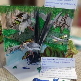 Краснокнижные птицы ХМАО-Югры