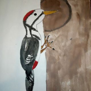 Рисунок маслянными красками "Дятел"