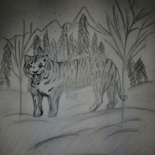 "Амурский тигр"