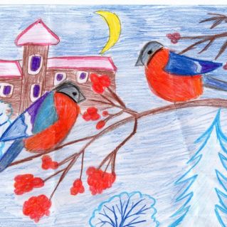 Снегири - наши друзья!