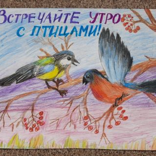 Встречайте утро с птицами!