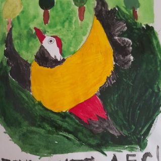 "Берегите лес!"