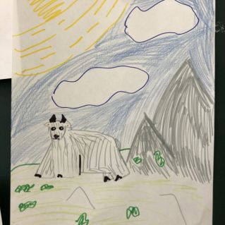 Снежная коза