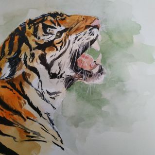 Хозяин тайги