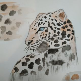 Дальневосточный леопард