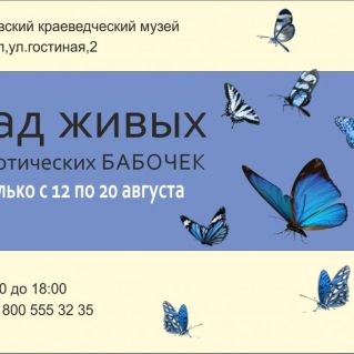 Дизайн рекламной вывески