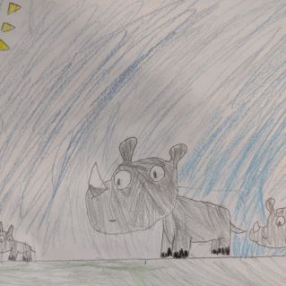 "Носорожки"