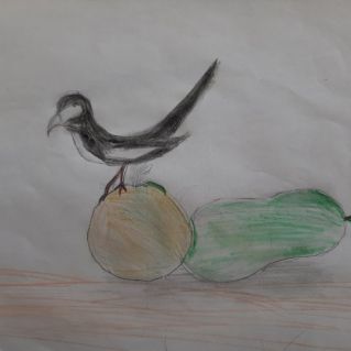 Маленькая птичка