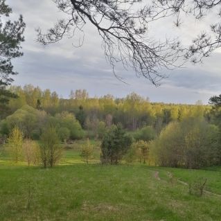 Малая Родина