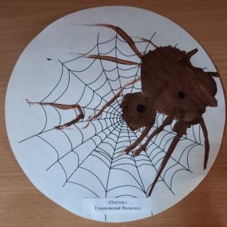 "Паучок" (Нетрадиционная техника рисования)