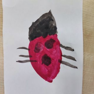 Жук наш друг