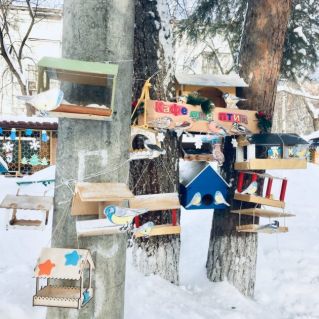 Пернатые друзья