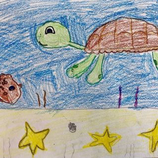 Плывет, не зная страха, Морская черепаха