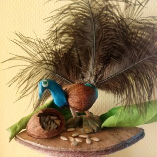 Эко - Павлин