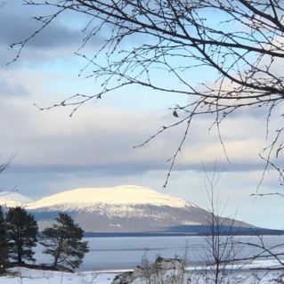 "Заполярная весна"