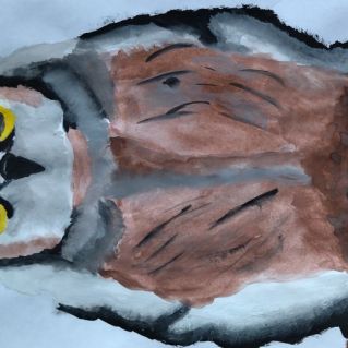 Обитатели Окского биосферного заповедника: Болотная сова