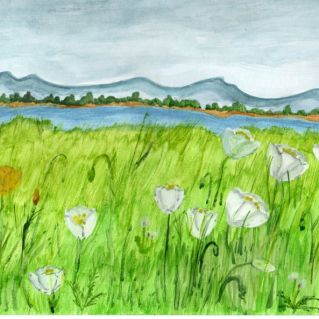 "На просторах Хинганского заповедника"