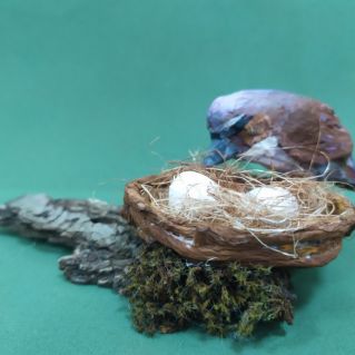 Жулан обыкновенный