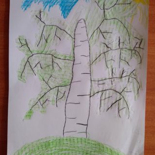 Берёза - символ России