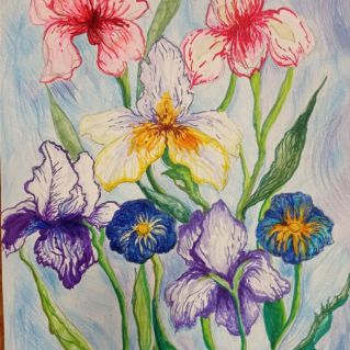 Ирисы
