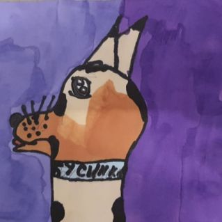 Моя любимая собака