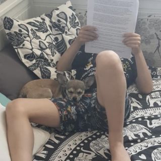 Моя любимая собака