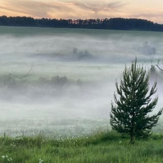 Туманное утро в Москве .
