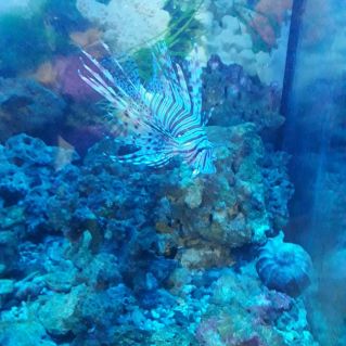 Природа нашей Земли