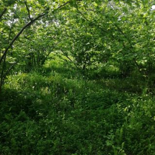 Астрахань летом