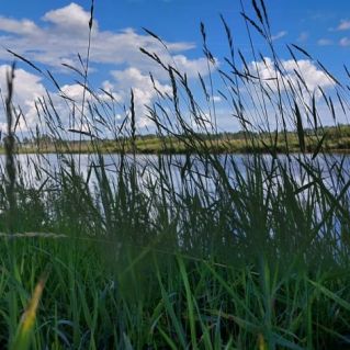 "Красота родного края"