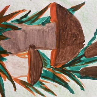 Лесные дары для людей и зверей