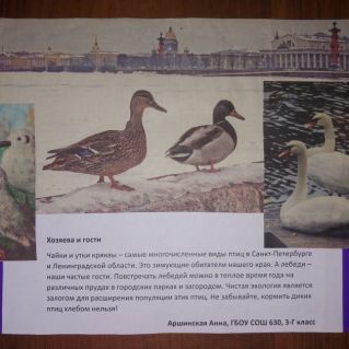 Плакат на тему "Берегите природу"