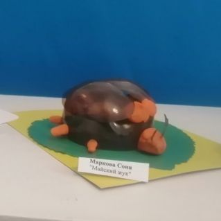 Майский жук