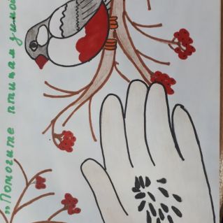 "Помогите птицам зимой"