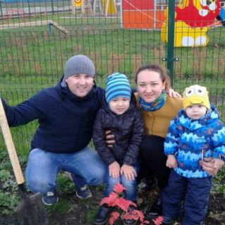 "Деревья-пылеуловители"