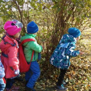 "Как интересен мир вокруг"