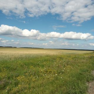 "Родные просторы"