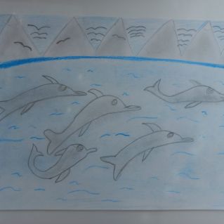 Берегите дельфинов