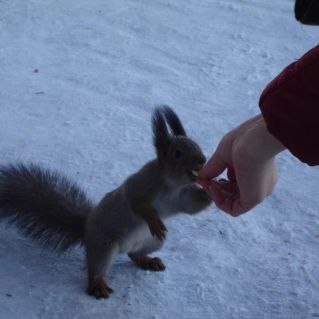 "Как вкусно!"