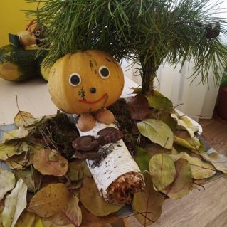 Колобок в лесу