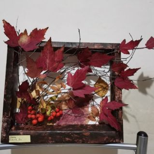 Осенние краски