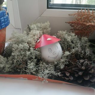 Грибочки на полянке