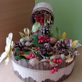 Осенний водолей